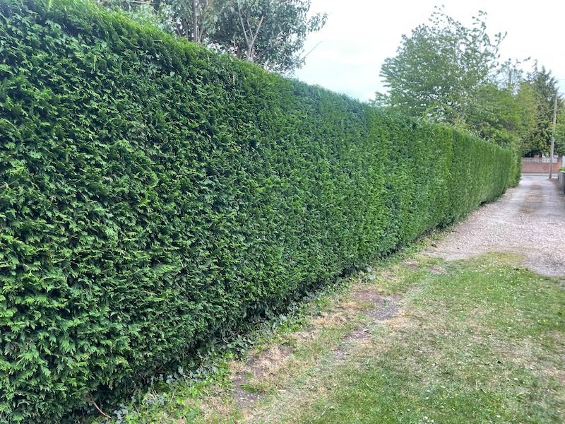 Herring Trees & Landscaping — tree surgery and hedge maintenance in Derby and Nottingham