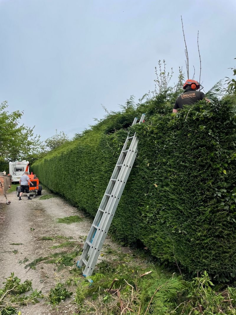 Herring Trees & Landscaping — tree surgery and hedge maintenance in Derby and Nottingham
