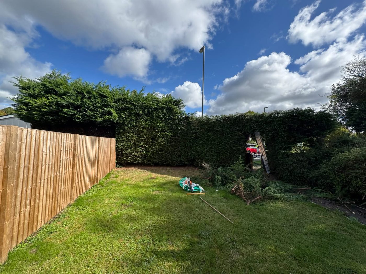 A long conifer hedge cut down to a flat top from the garden side, with one uncut section still standing at the left and cuttings heaped by the archway